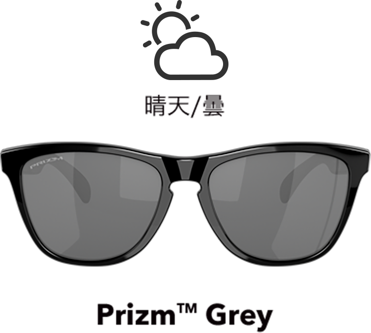 Prizm(TM) Grey